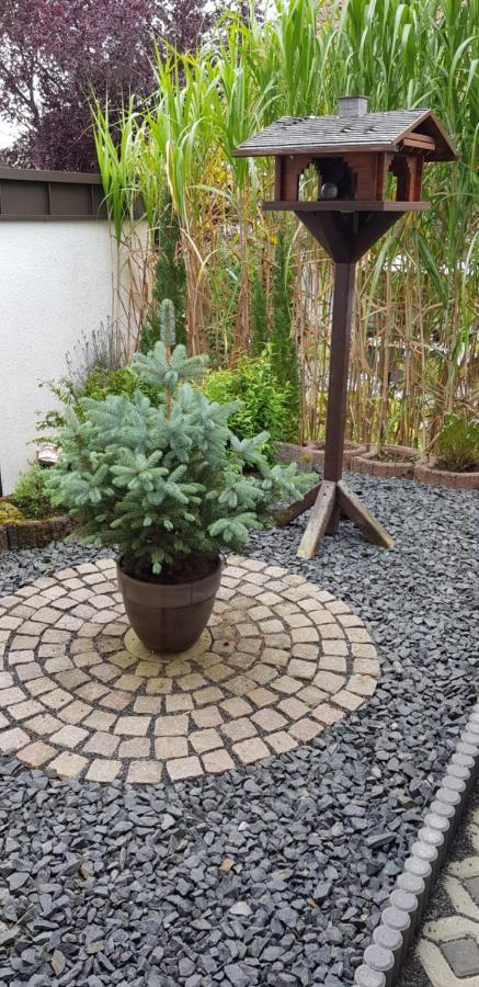 Apartment Curly Scheyern المظهر الخارجي الصورة
